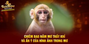 Chiêm Bao Nằm Mơ Thấy Khỉ Và Ẩn Ý Của Hình Ảnh Trong Mơ