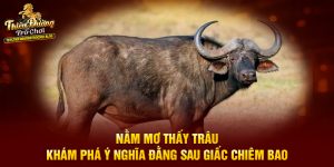 Nằm Mơ Thấy Trâu - Khám Phá Ý Nghĩa Đằng Sau Giấc Chiêm Bao
