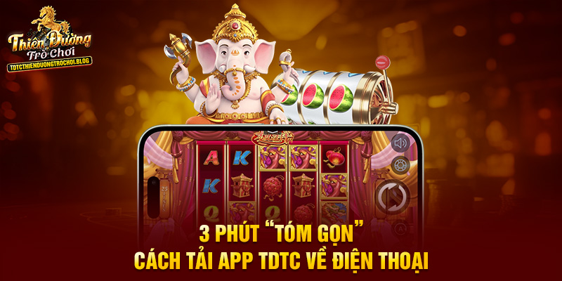 3 phút “tóm gọn” cách tải app TDTC về điện thoại