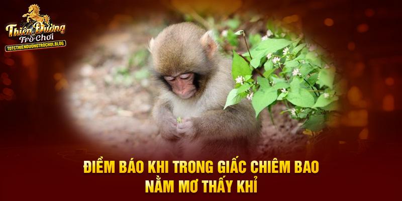 Điềm báo khi trong giấc chiêm bao nằm mơ thấy khỉ