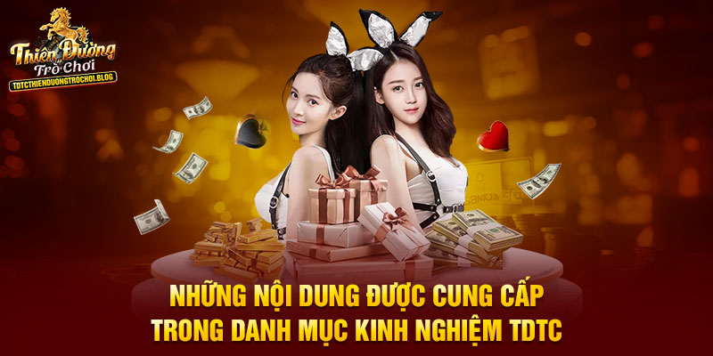 Những nội dung được cung cấp trong danh mục kinh nghiệm TDTC