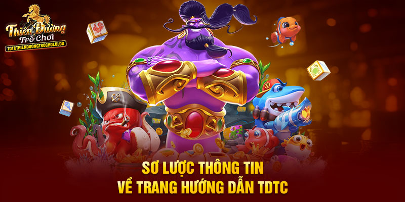 Sơ lược thông tin về trang hướng dẫn TDTC