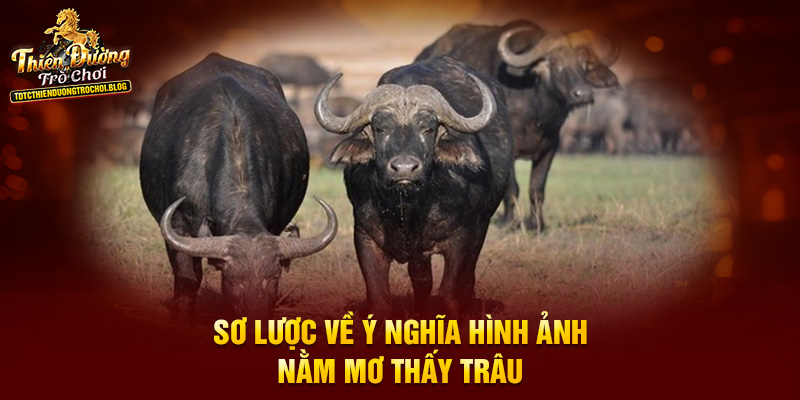 Sơ lược về ý nghĩa hình ảnh nằm mơ thấy trâu