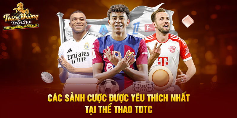 Các sảnh cược được yêu thích nhất tại thể thao TDTC