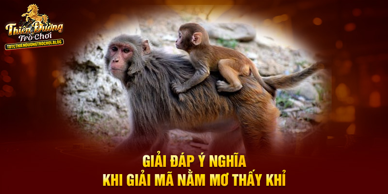 Giải đáp ý nghĩa khi giải mã nằm mơ thấy khỉ