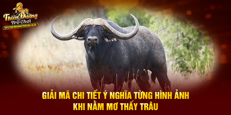 Giải mã chi tiết ý nghĩa từng hình ảnh khi nằm mơ thấy trâu